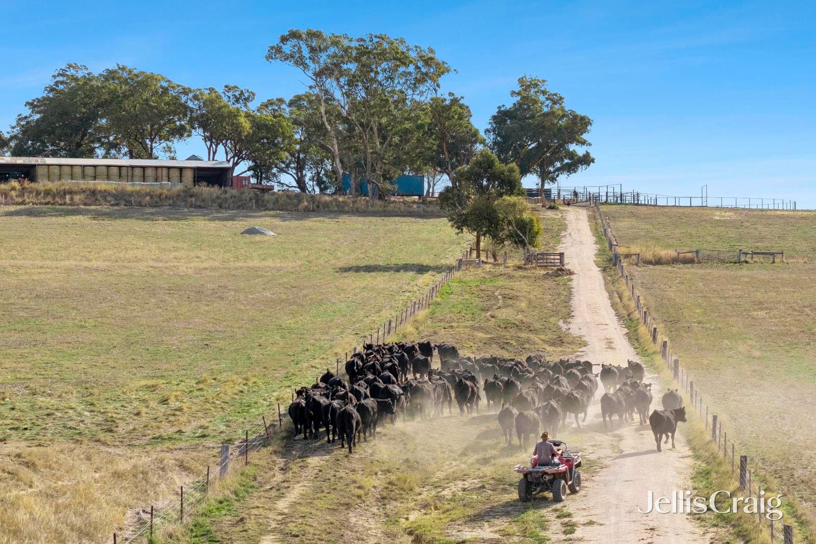 284 Blackhill Road, Kyneton, Kyneton - Thumbnail 3