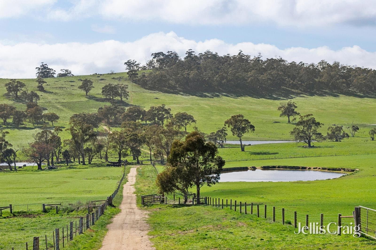 284 Blackhill Road, Kyneton, Kyneton - Thumbnail 5