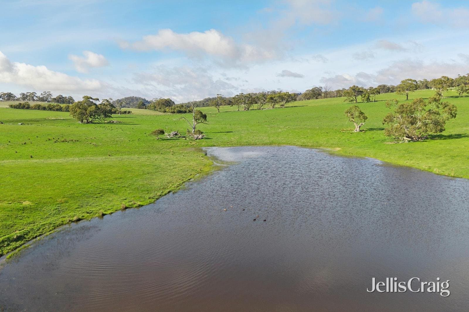 284 Blackhill Road, Kyneton, Kyneton - Thumbnail 8
