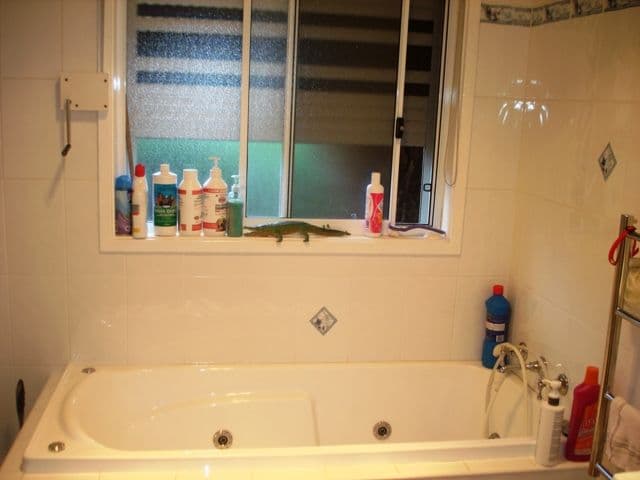 10 Sayonara Place, GREENFIELD PARK NSW 2176, Greenfield Park - Thumbnail 5