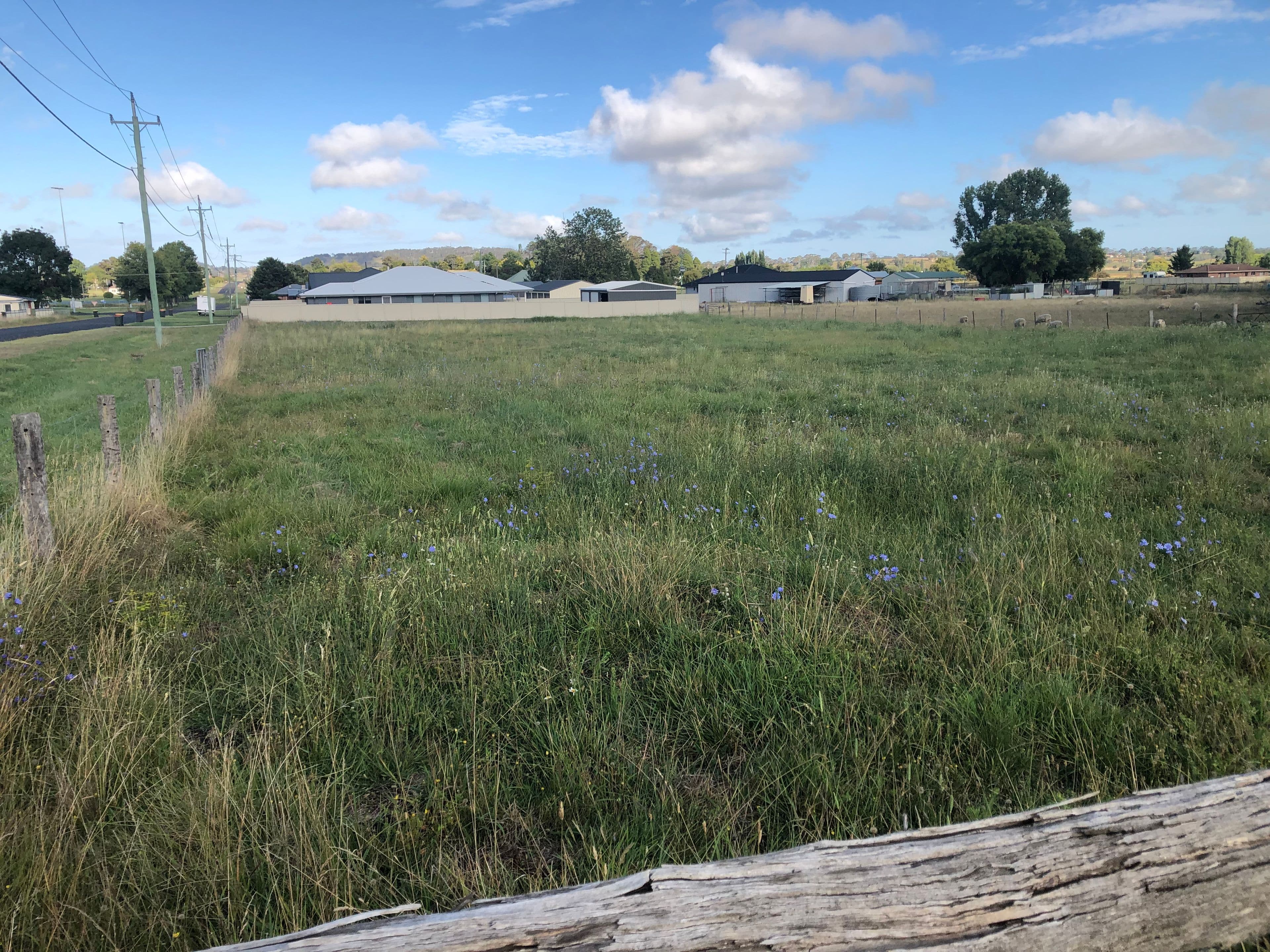 Lot 5 Herbert, Glen Innes NSW 2370, Glen Innes - Image 1