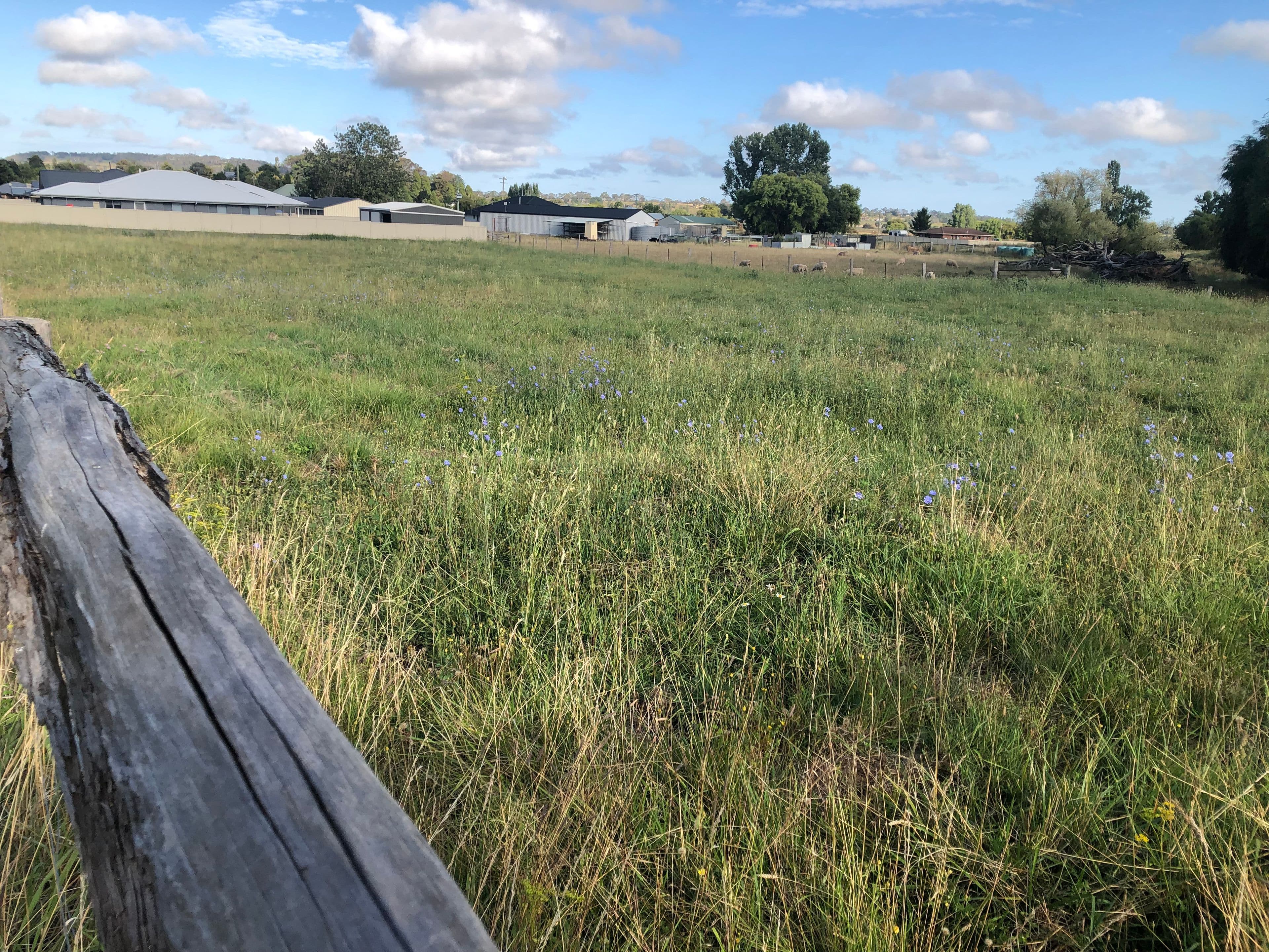 Lot 5 Herbert, Glen Innes NSW 2370, Glen Innes - Thumbnail 3