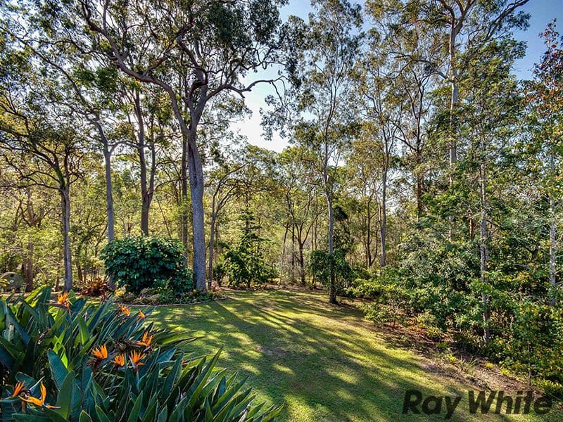 32 Blue Hills Drive, BUNYA QLD 4055, Bunya - Thumbnail 2