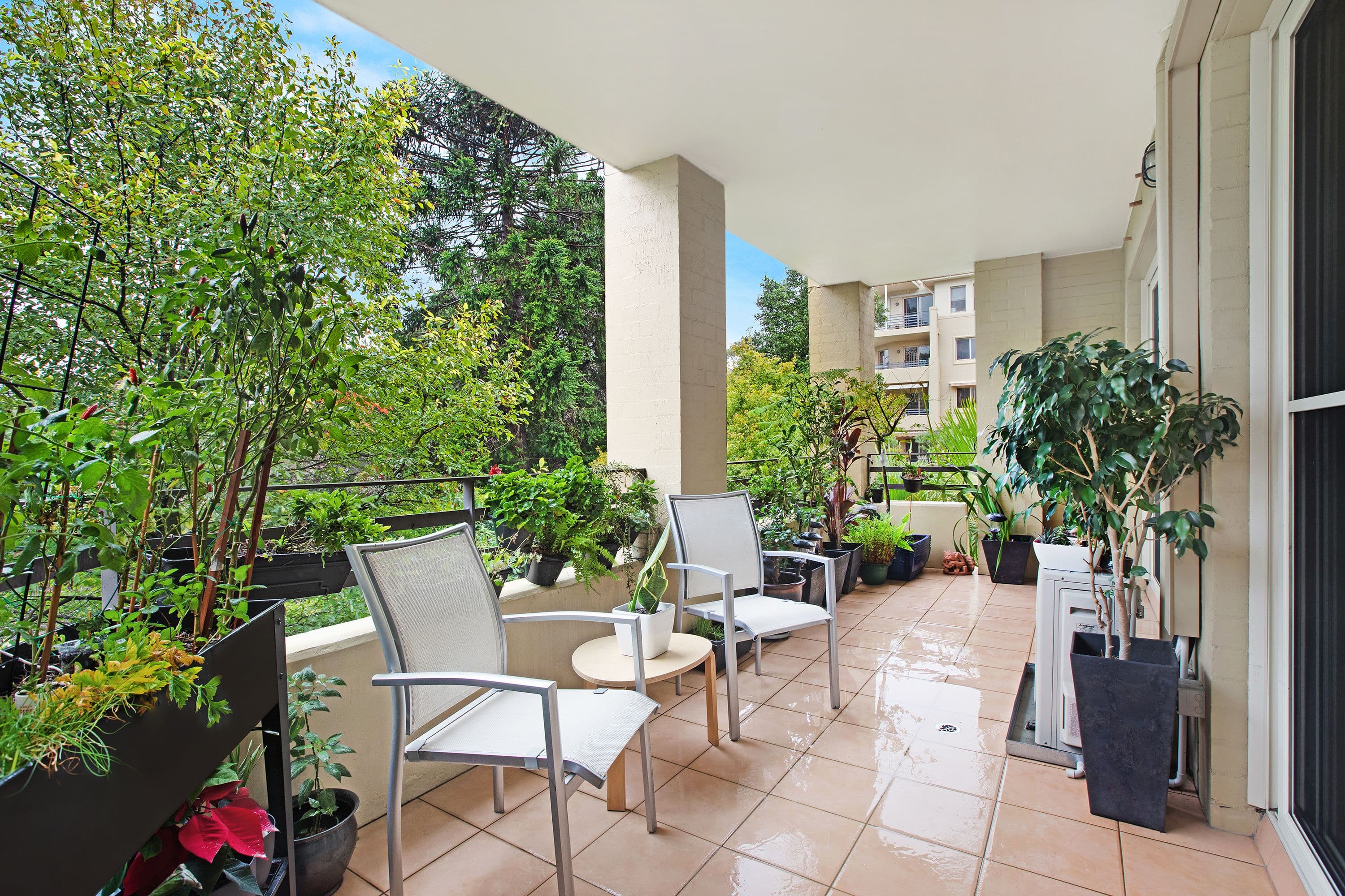 1 Figtree Avenue, Abbotsford NSW 2046, Abbotsford - Thumbnail 3