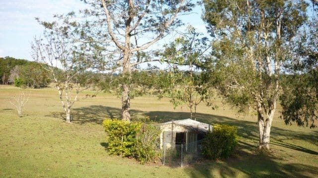 364 Paynters Creek Road, ROSEMOUNT QLD 4560, Rosemount - Thumbnail 3