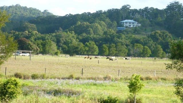 364 Paynters Creek Road, ROSEMOUNT QLD 4560, Rosemount - Thumbnail 4