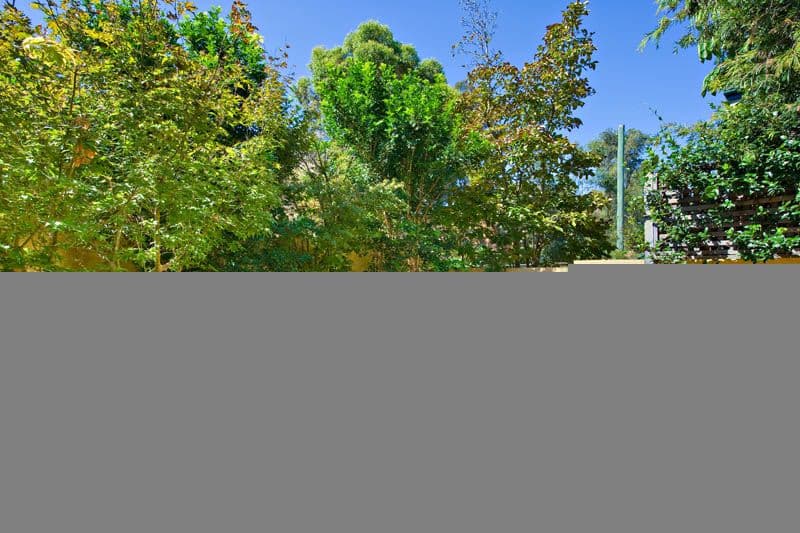 58 Hampden Road, ABBOTSFORD NSW 2046, Abbotsford - Thumbnail 4