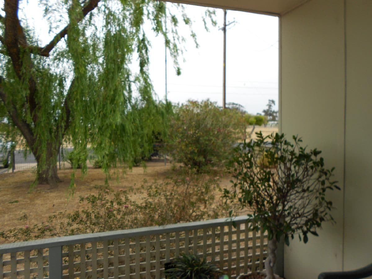 96 Ramsay Terrace, Bordertown SA 5268, Bordertown - Thumbnail 8