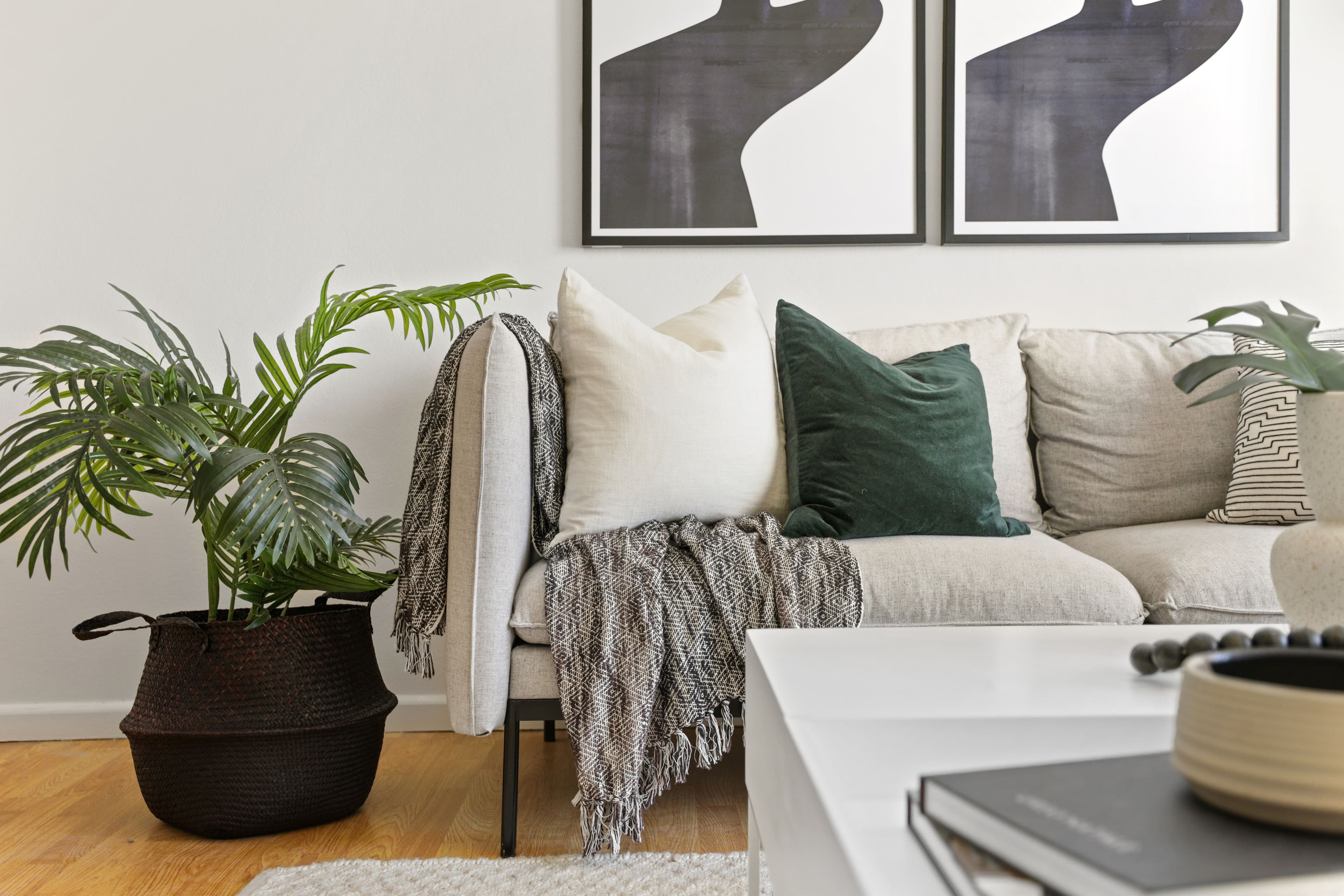 73 Warren Road, Marrickville NSW 2204, Marrickville - Thumbnail 2