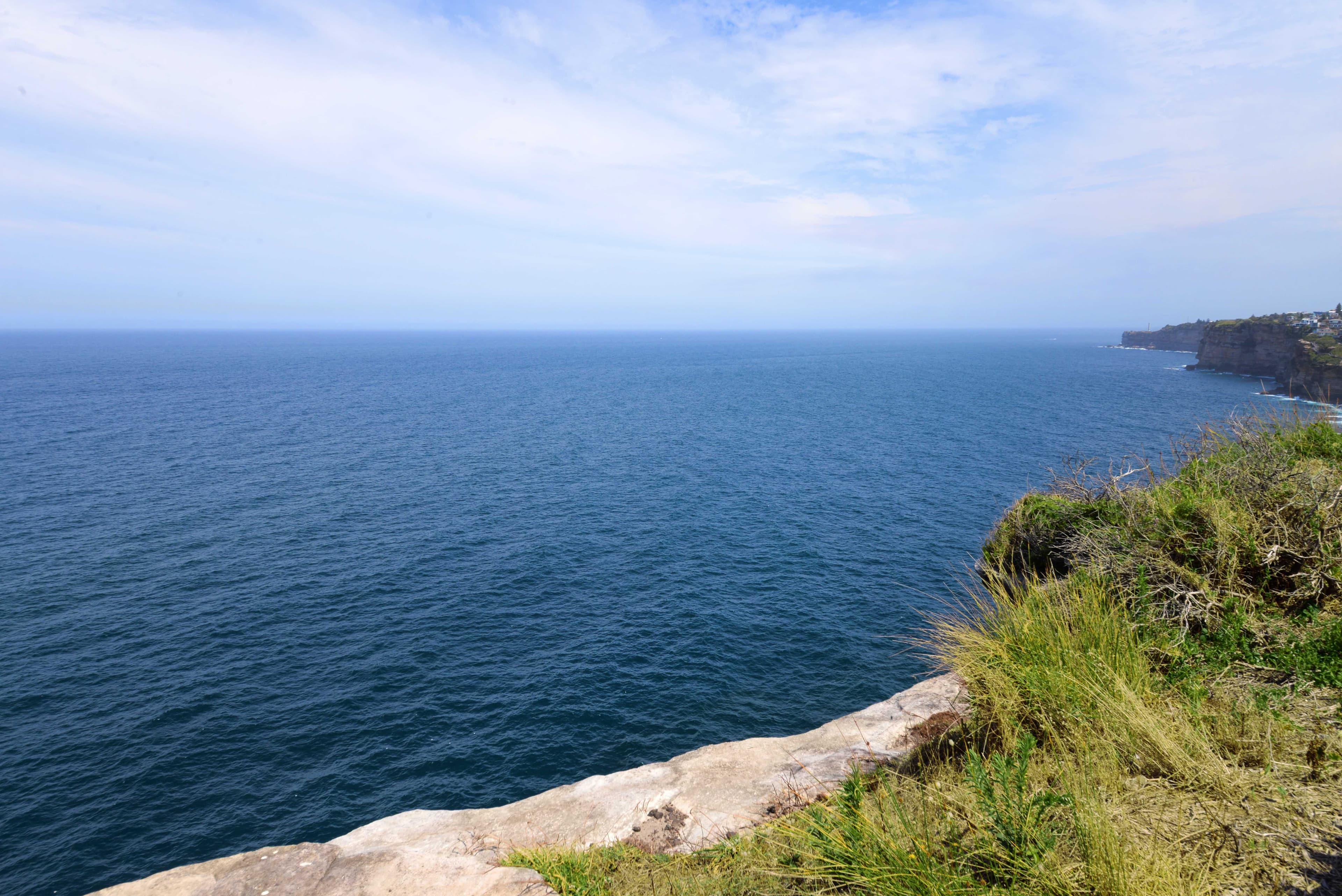 17 Clarke Street, Vaucluse NSW 2030, Vaucluse - Thumbnail 7