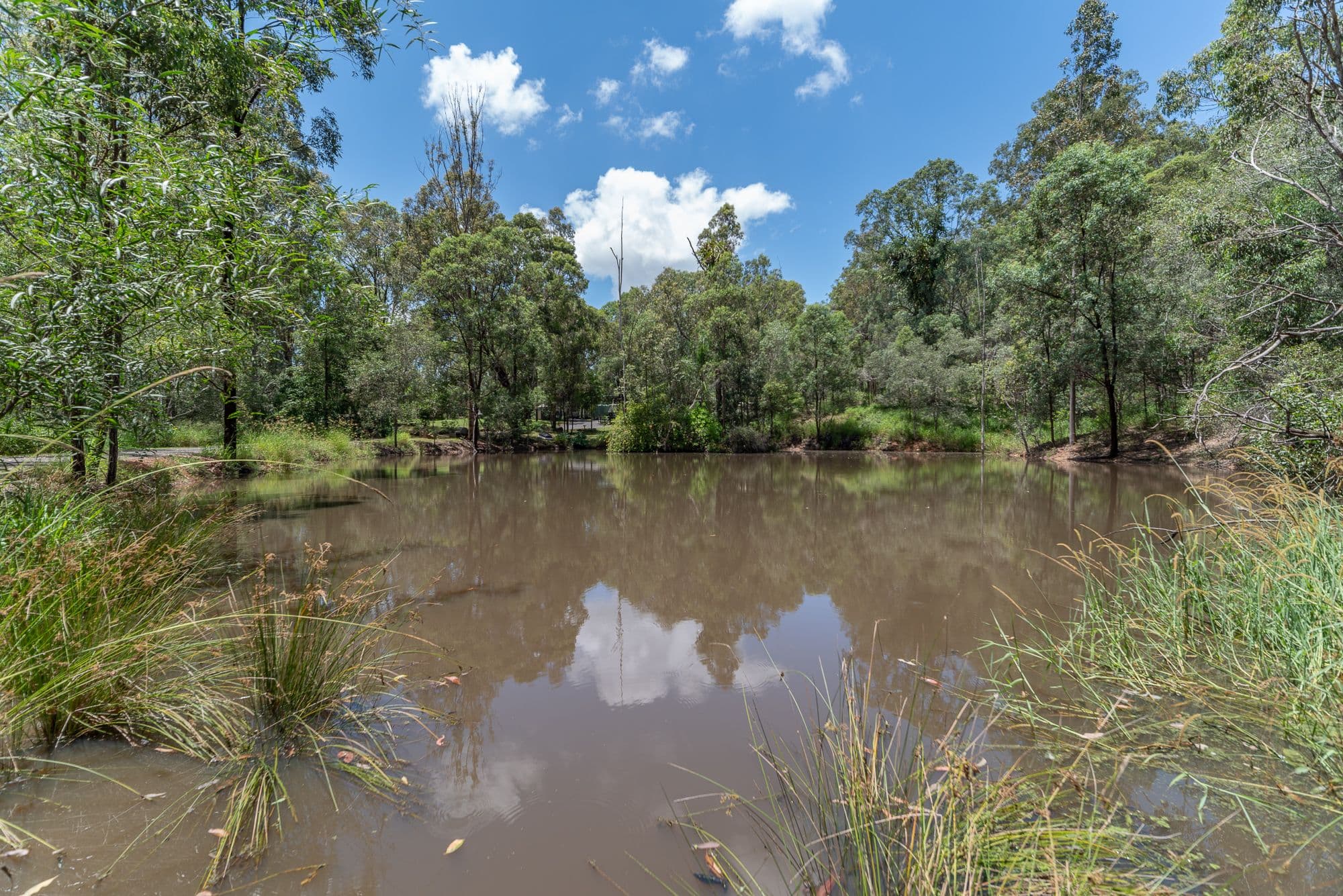 630-634 Millstream Road, Cedar Vale QLD 4285, Cedar Vale - Thumbnail 5