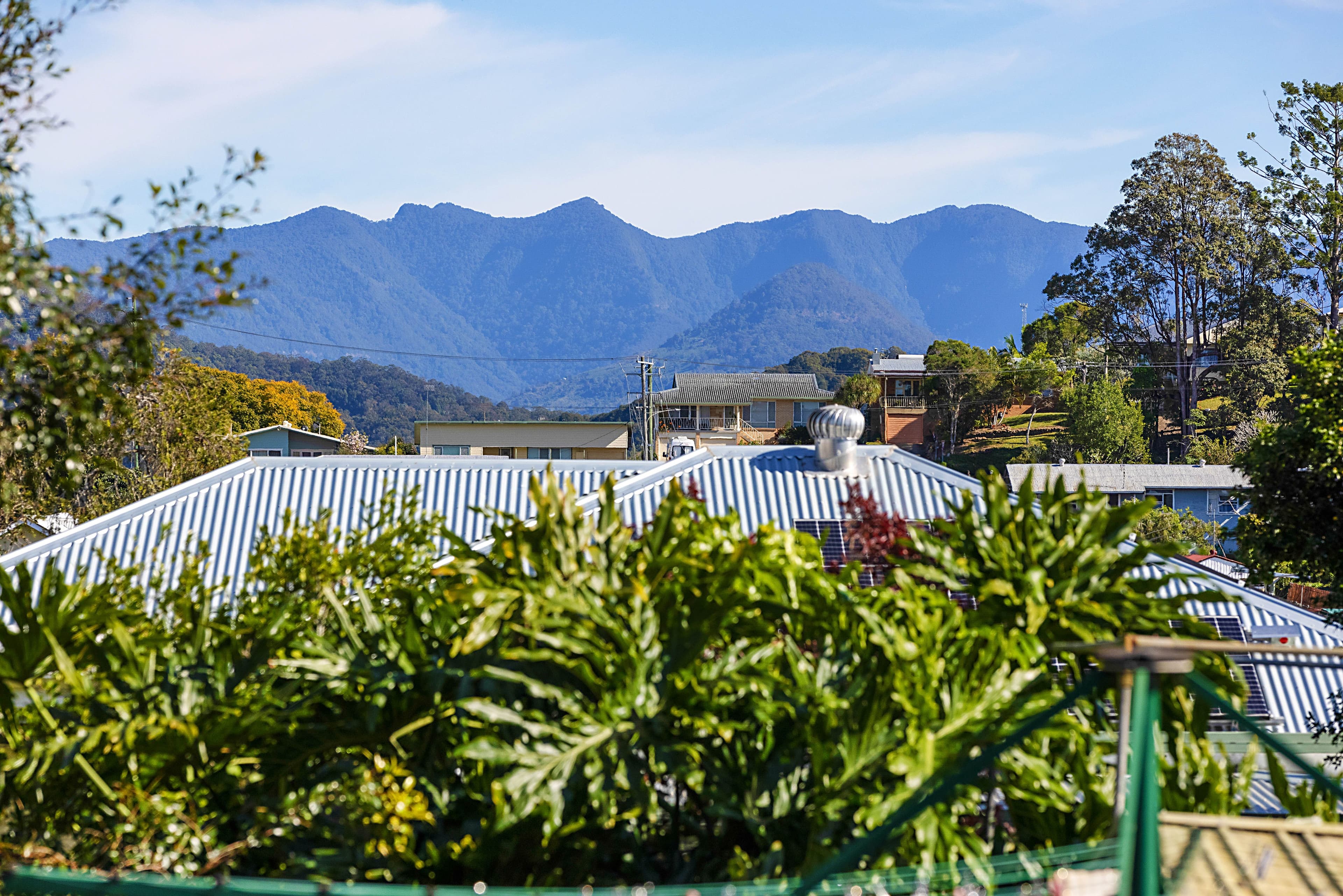 21 Harwood Street, Murwillumbah NSW 2484, Murwillumbah - Thumbnail 3