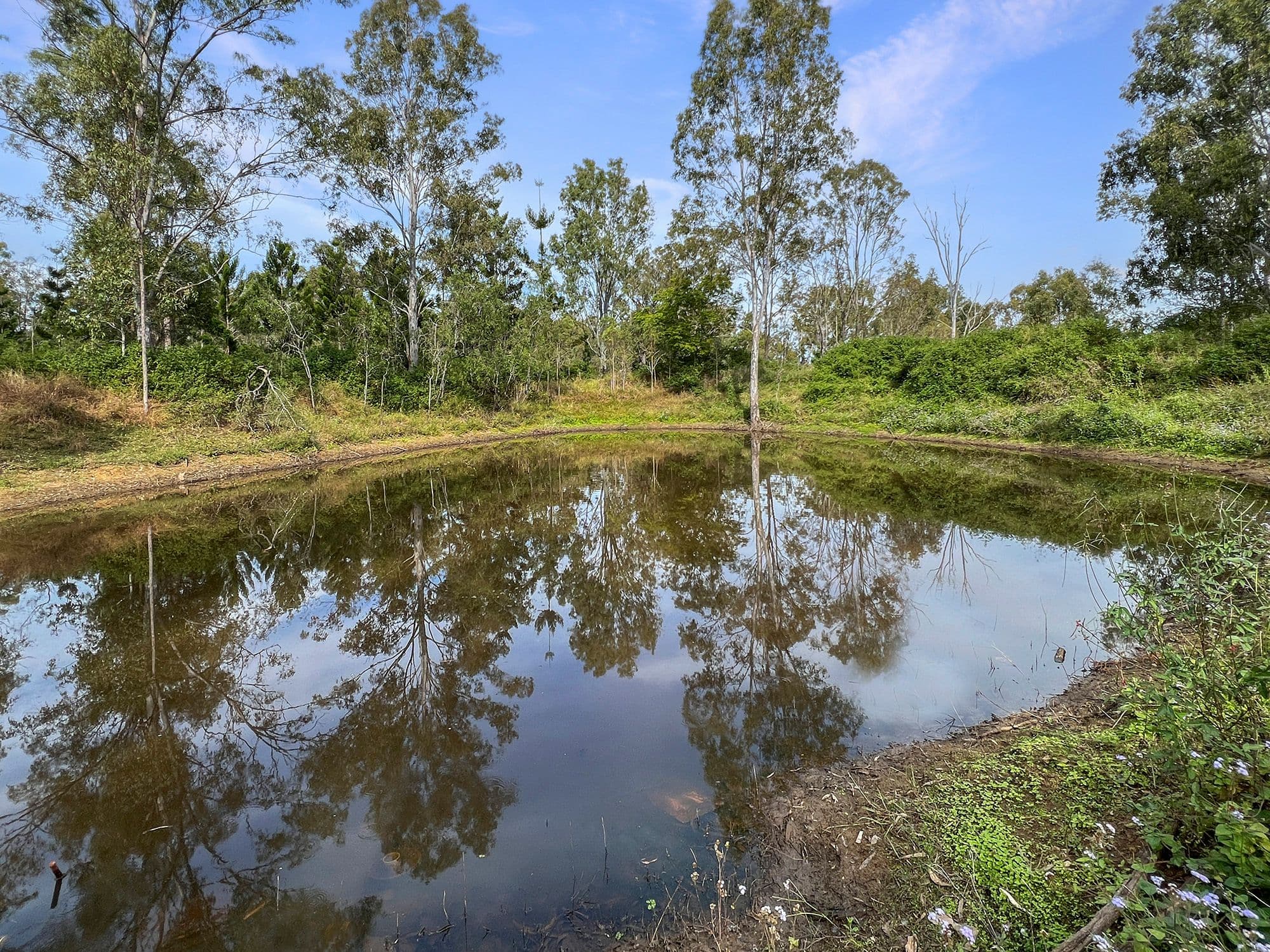 103 Reids Avenue, Wivenhoe Pocket QLD 4306, Wivenhoe Pocket - Thumbnail 3