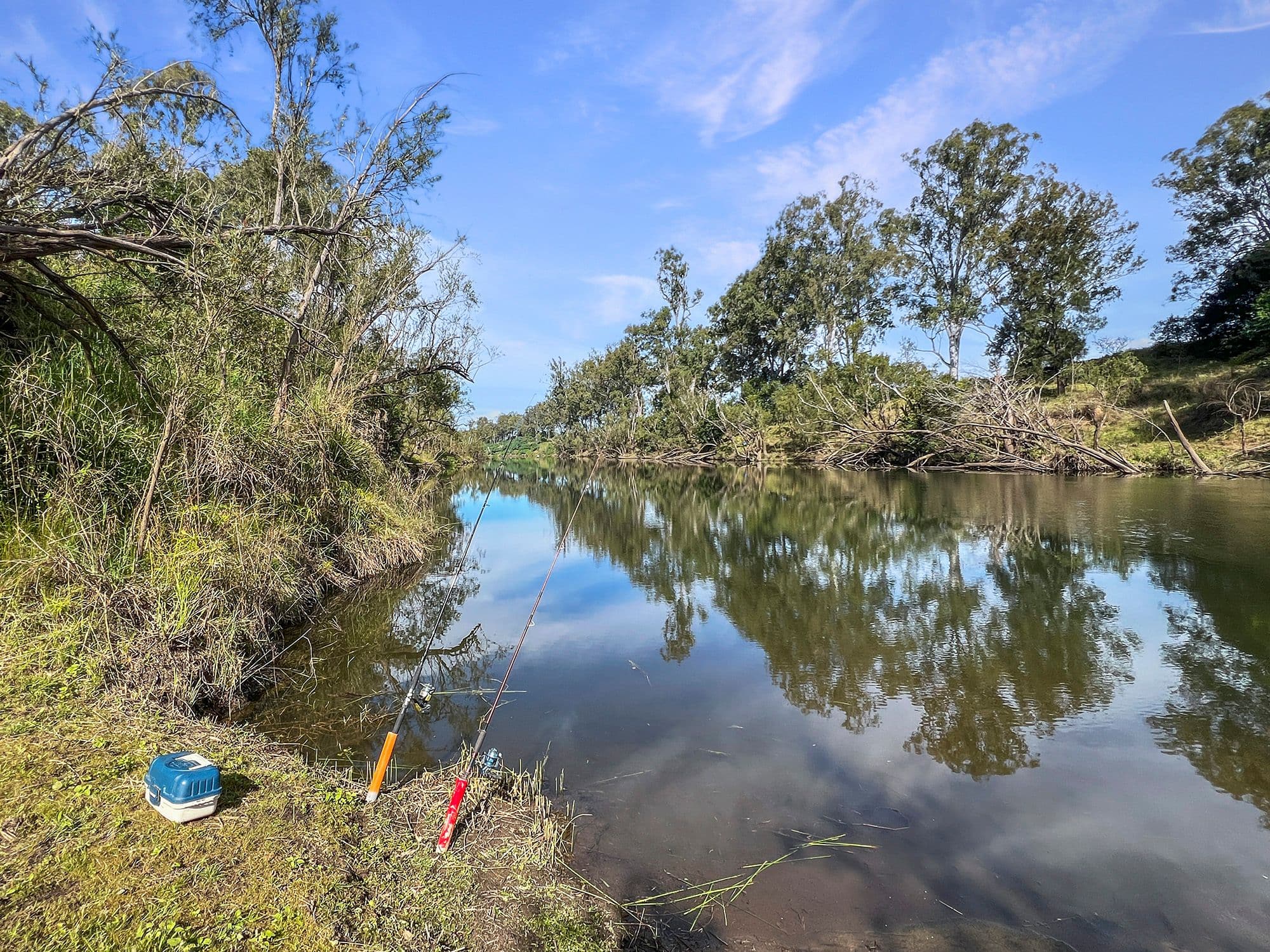 103 Reids Avenue, Wivenhoe Pocket QLD 4306, Wivenhoe Pocket - Thumbnail 6
