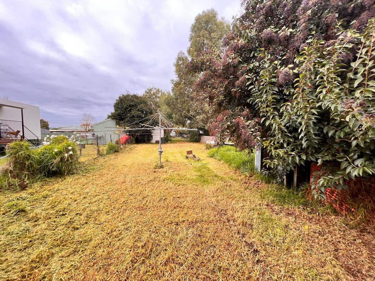 28 Nanima Street, Eugowra NSW 2806, Eugowra - Thumbnail 7
