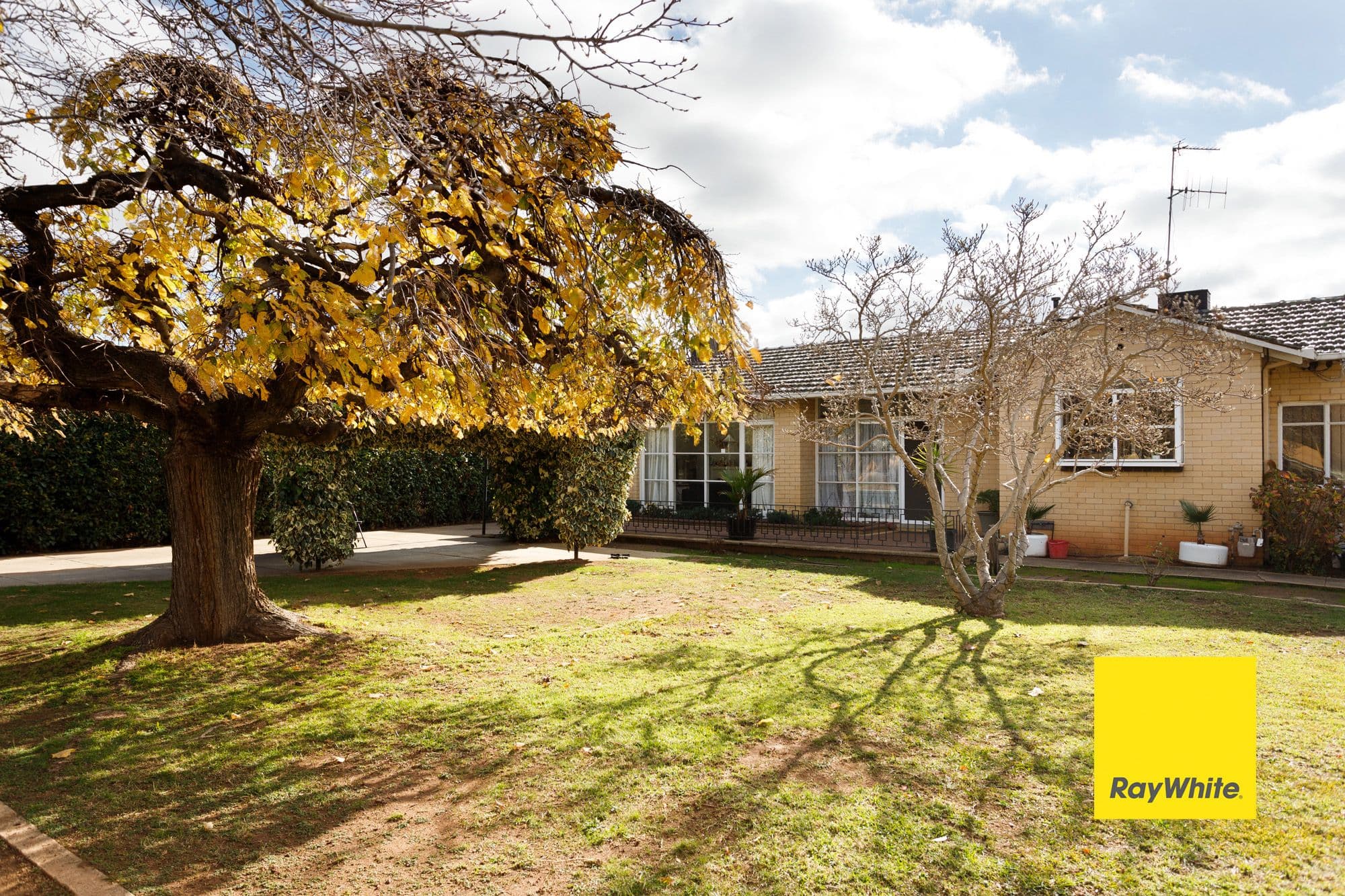 55 Service Street, Tatura VIC 3616, Tatura - Image 1