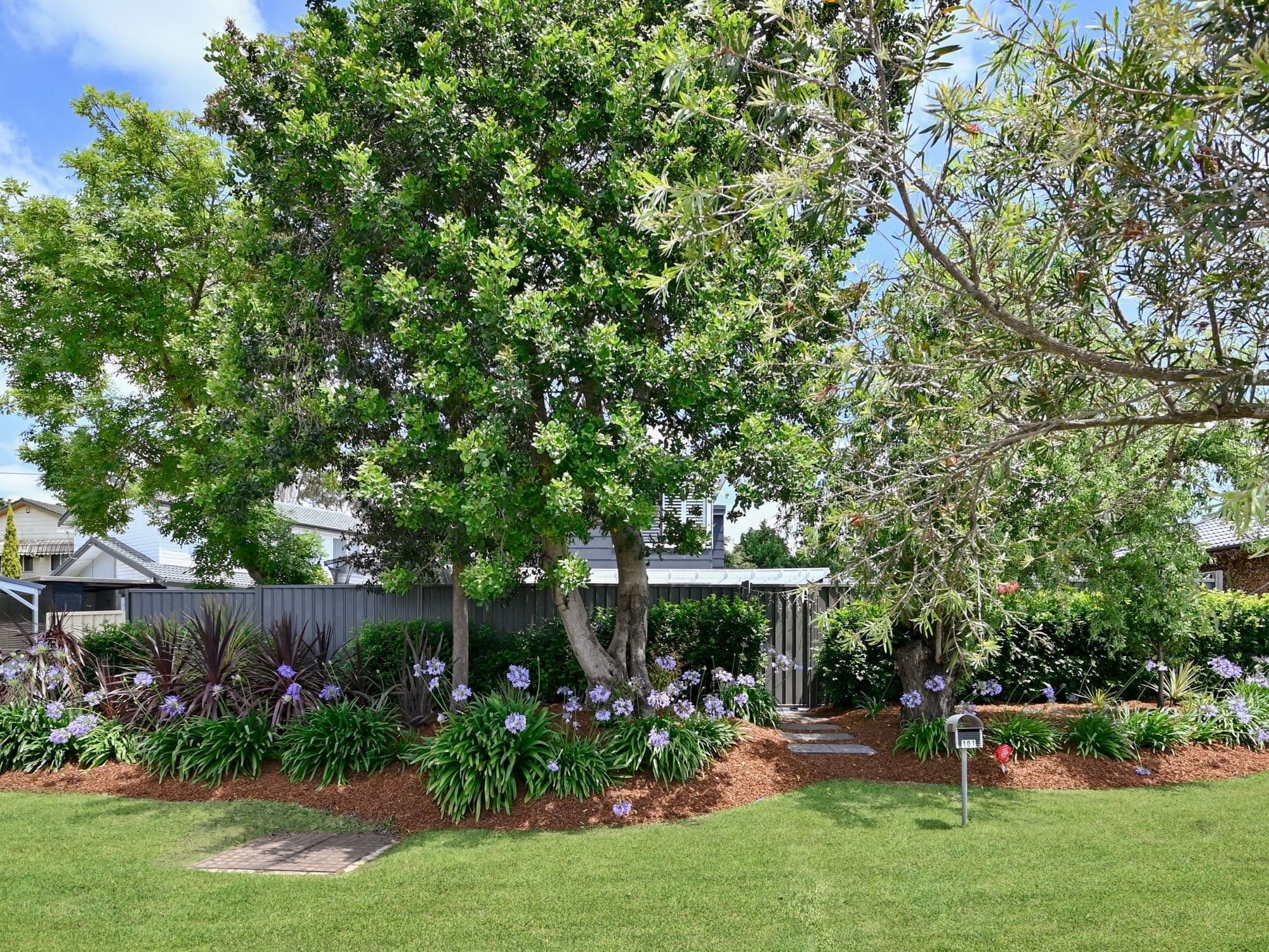 101 St Johns Road, Bradbury NSW 2560, Bradbury - Thumbnail 2