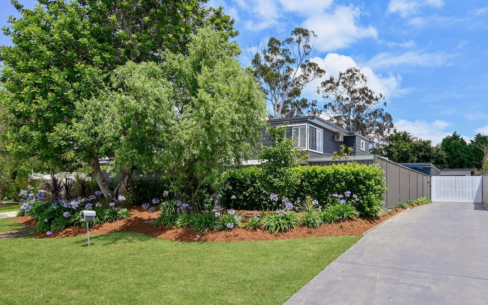 101 St Johns Road, Bradbury NSW 2560, Bradbury - Thumbnail 3