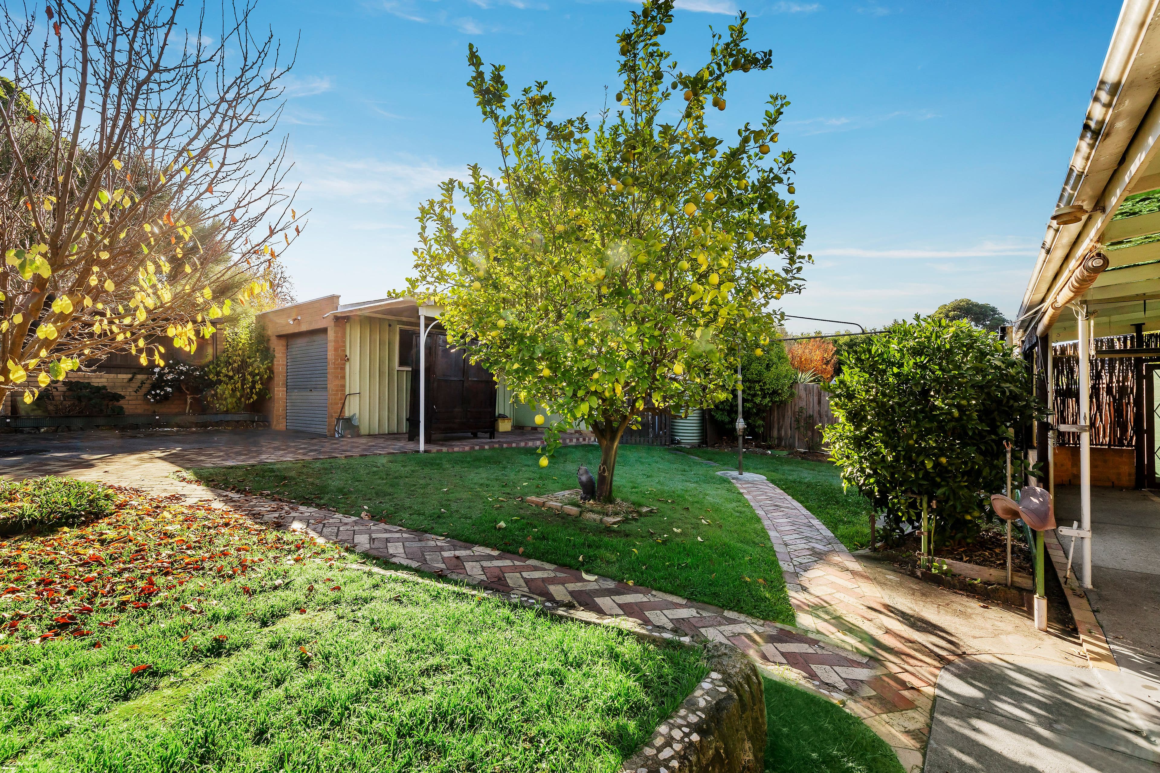 55 Harborne Street, Macleod VIC 3085, Macleod - Thumbnail 7