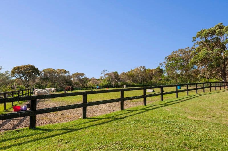 6 Chiltern Road, INGLESIDE NSW 2101, Ingleside - Thumbnail 5
