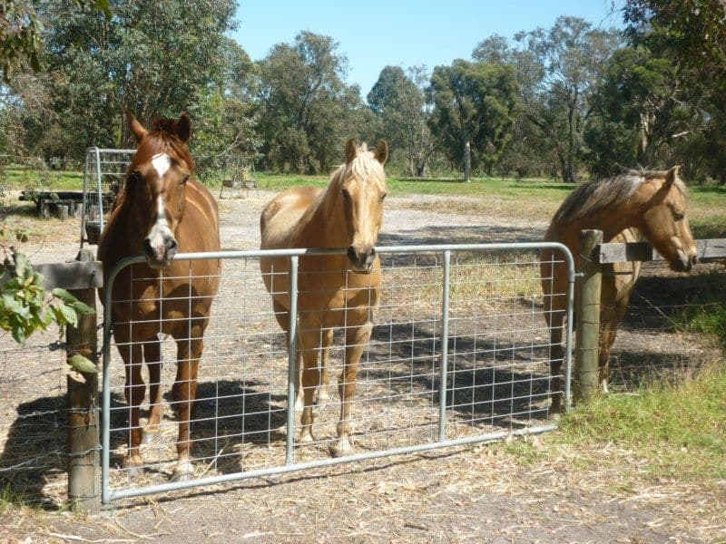 37 Breera Road, Gingin WA 6503, Gingin - Image 1