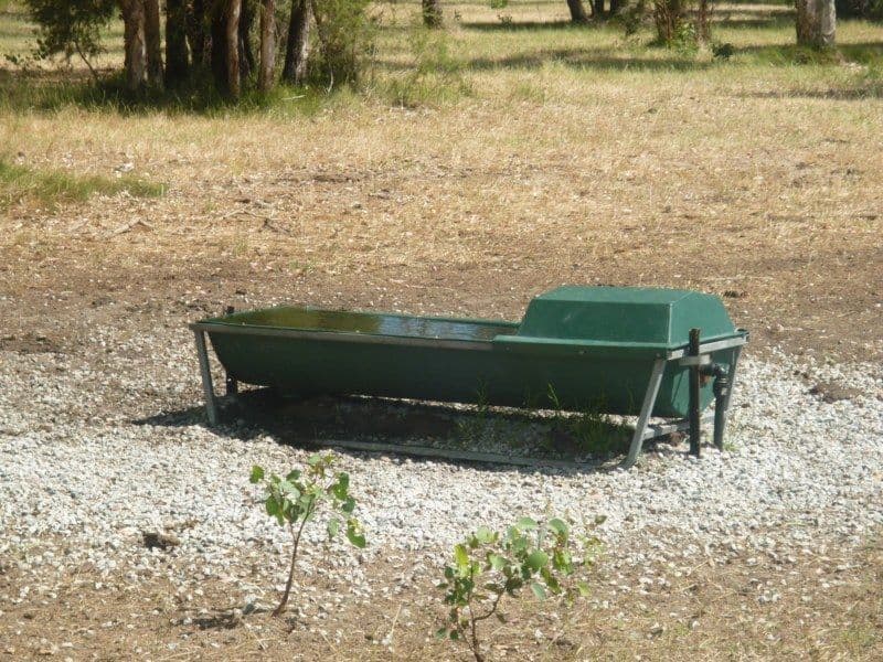 37 Breera Road, Gingin WA 6503, Gingin - Thumbnail 6