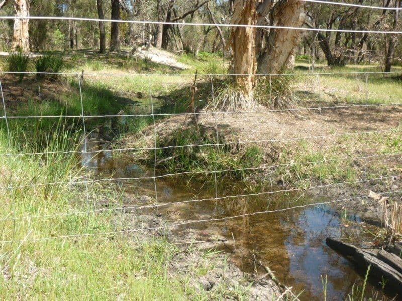 37 Breera Road, Gingin WA 6503, Gingin - Thumbnail 7