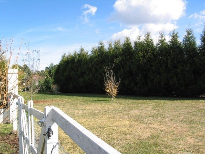 MOSS VALE NSW 2577, Moss Vale - Thumbnail 2