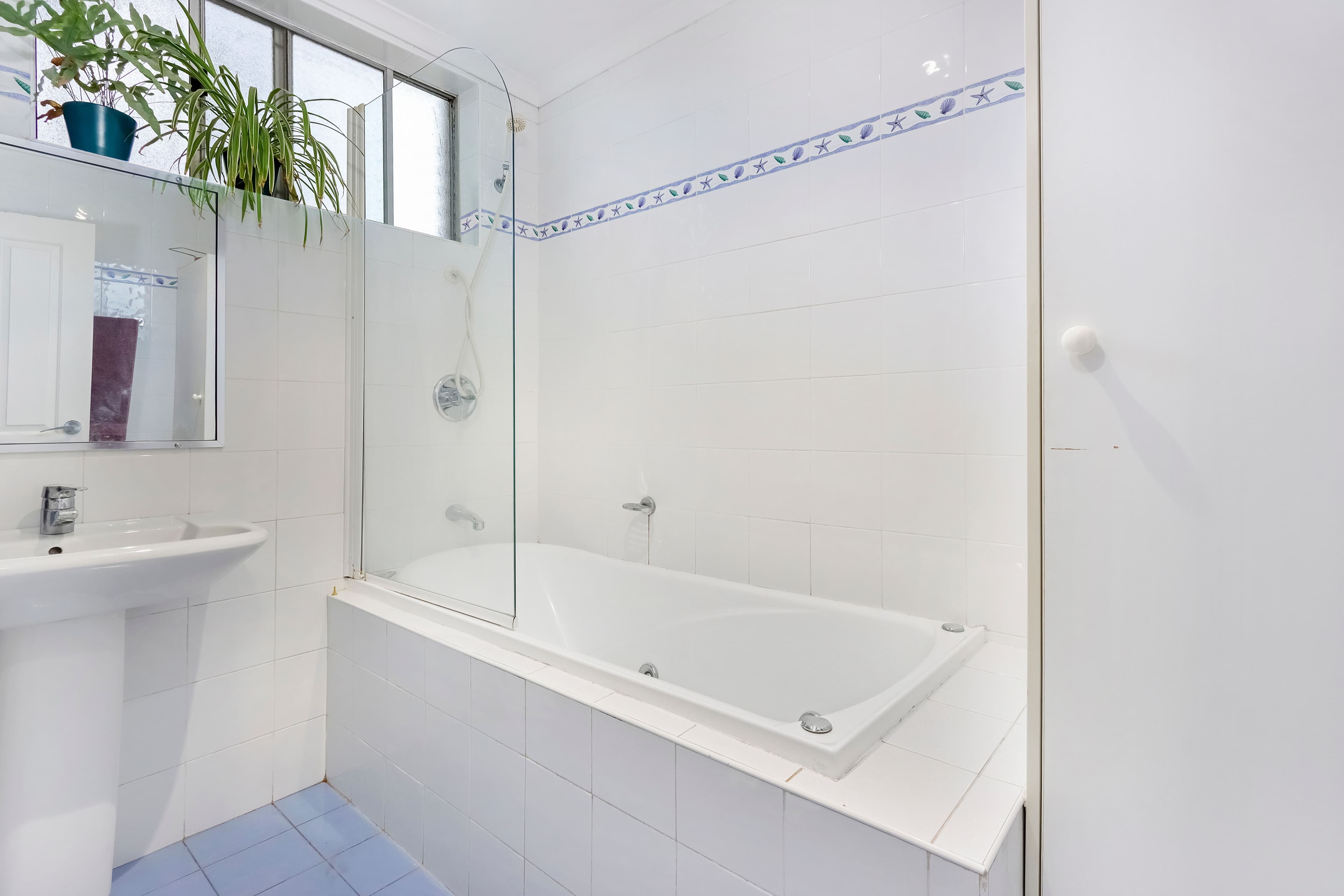2 Hamilton Street, Allawah NSW 2218, Allawah - Thumbnail 3