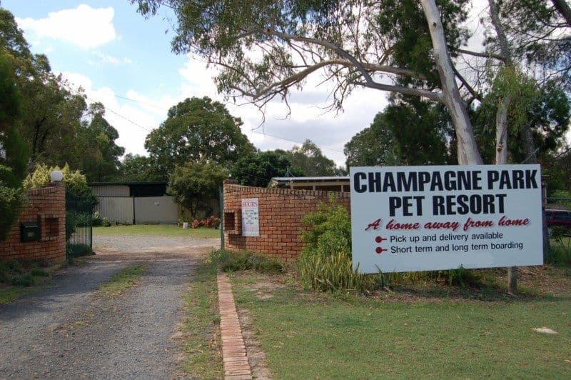 176 Granger Road, PARK RIDGE SOUTH QLD 4125, Park Ridge South - Thumbnail 3
