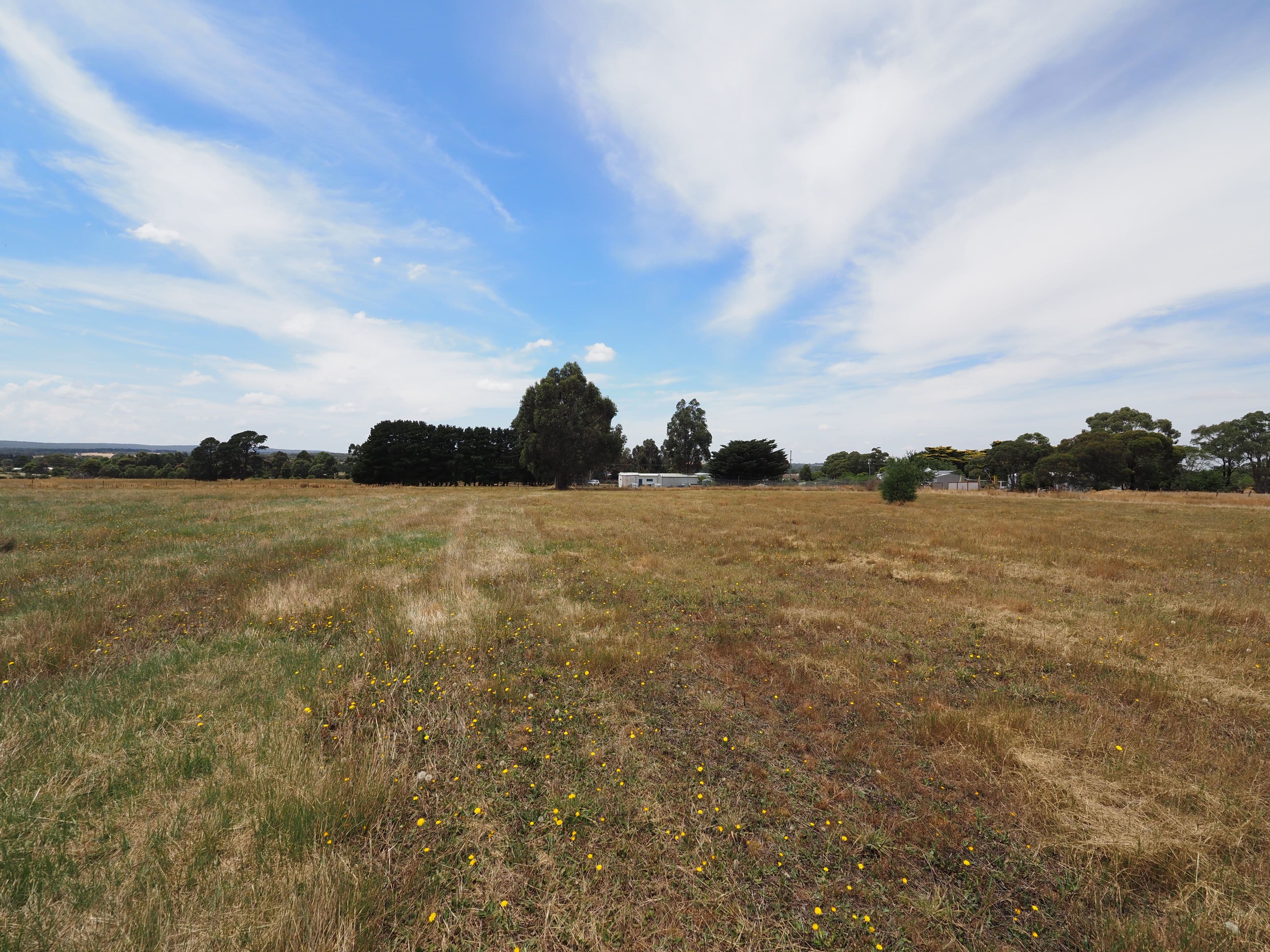 1540 Scarsdale - Pitfield Road, Cape Clear VIC 3351, Cape Clear - Thumbnail 2