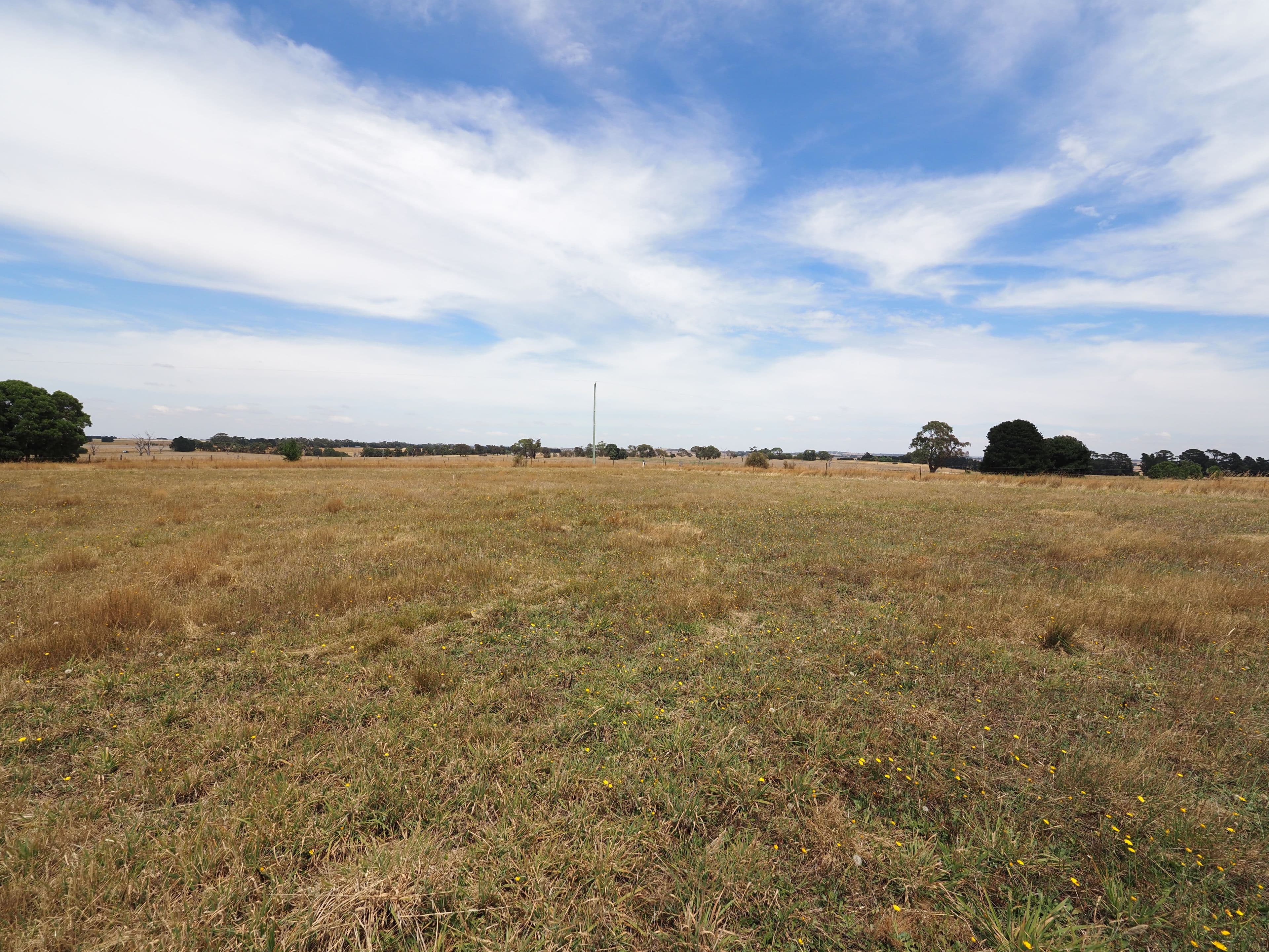 1540 Scarsdale - Pitfield Road, Cape Clear VIC 3351, Cape Clear - Thumbnail 5