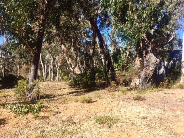 253 Govetts Leap Road, Blackheath NSW 2785, Blackheath - Image 1