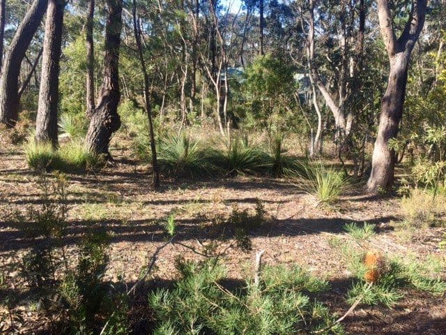 253 Govetts Leap Road, Blackheath NSW 2785, Blackheath - Thumbnail 2