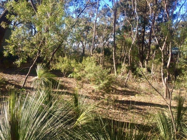 253 Govetts Leap Road, Blackheath NSW 2785, Blackheath - Thumbnail 3