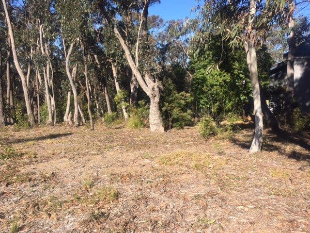 253 Govetts Leap Road, Blackheath NSW 2785, Blackheath - Thumbnail 4