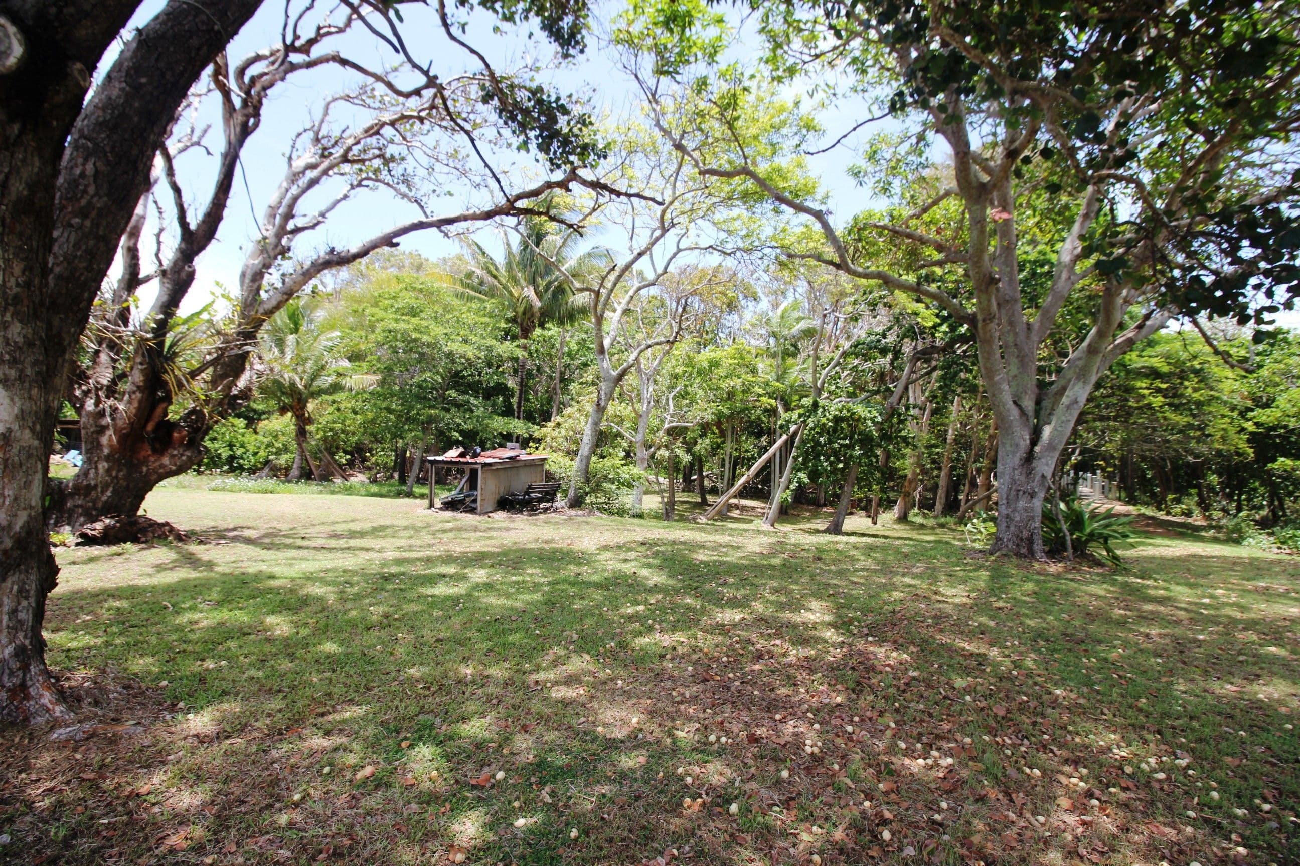 19 Allamanda Avenue, Forrest Beach QLD 4850, Forrest Beach - Thumbnail 7