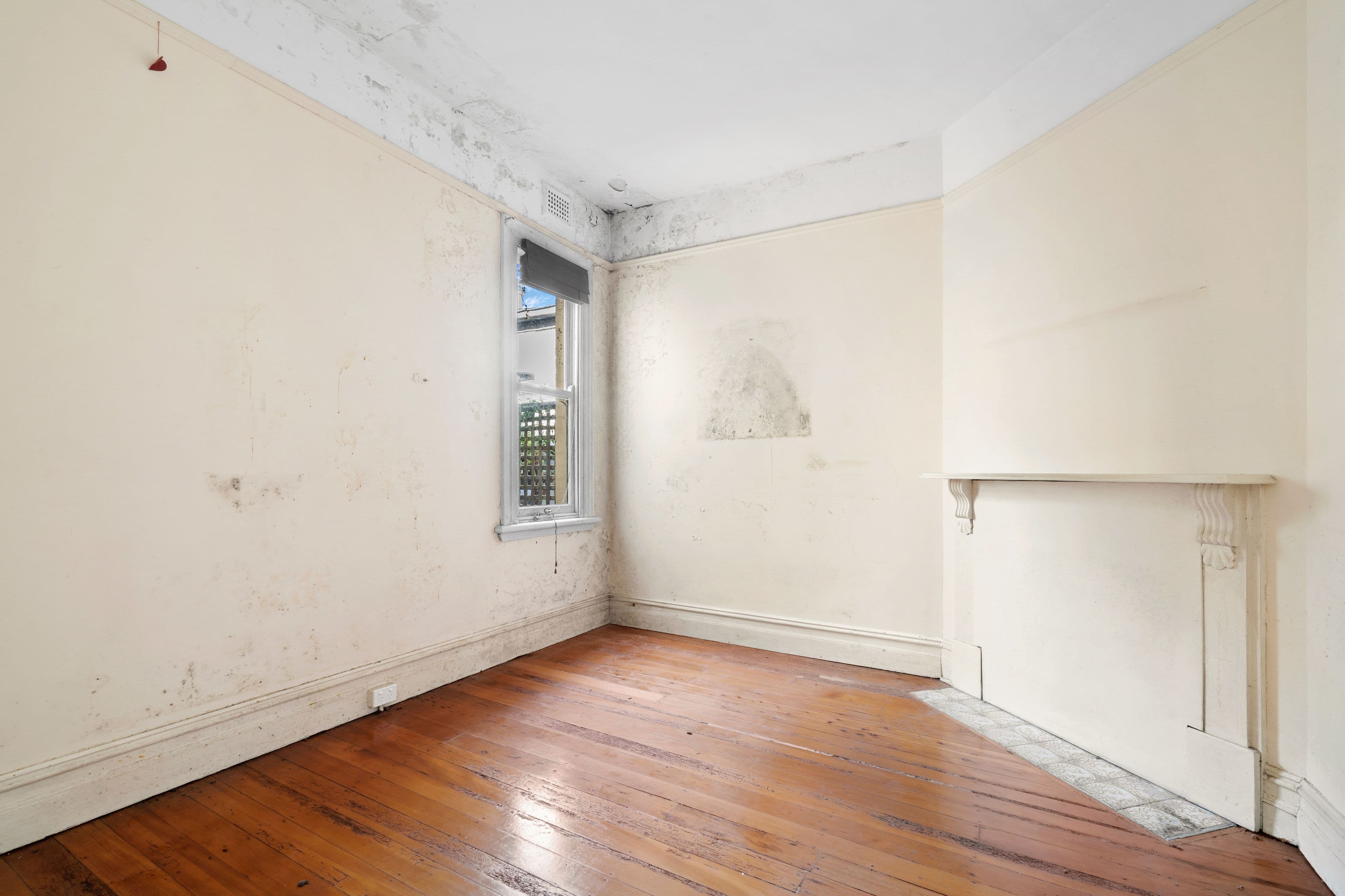 40 Fitzroy Street, Newtown NSW 2042, Newtown - Thumbnail 4