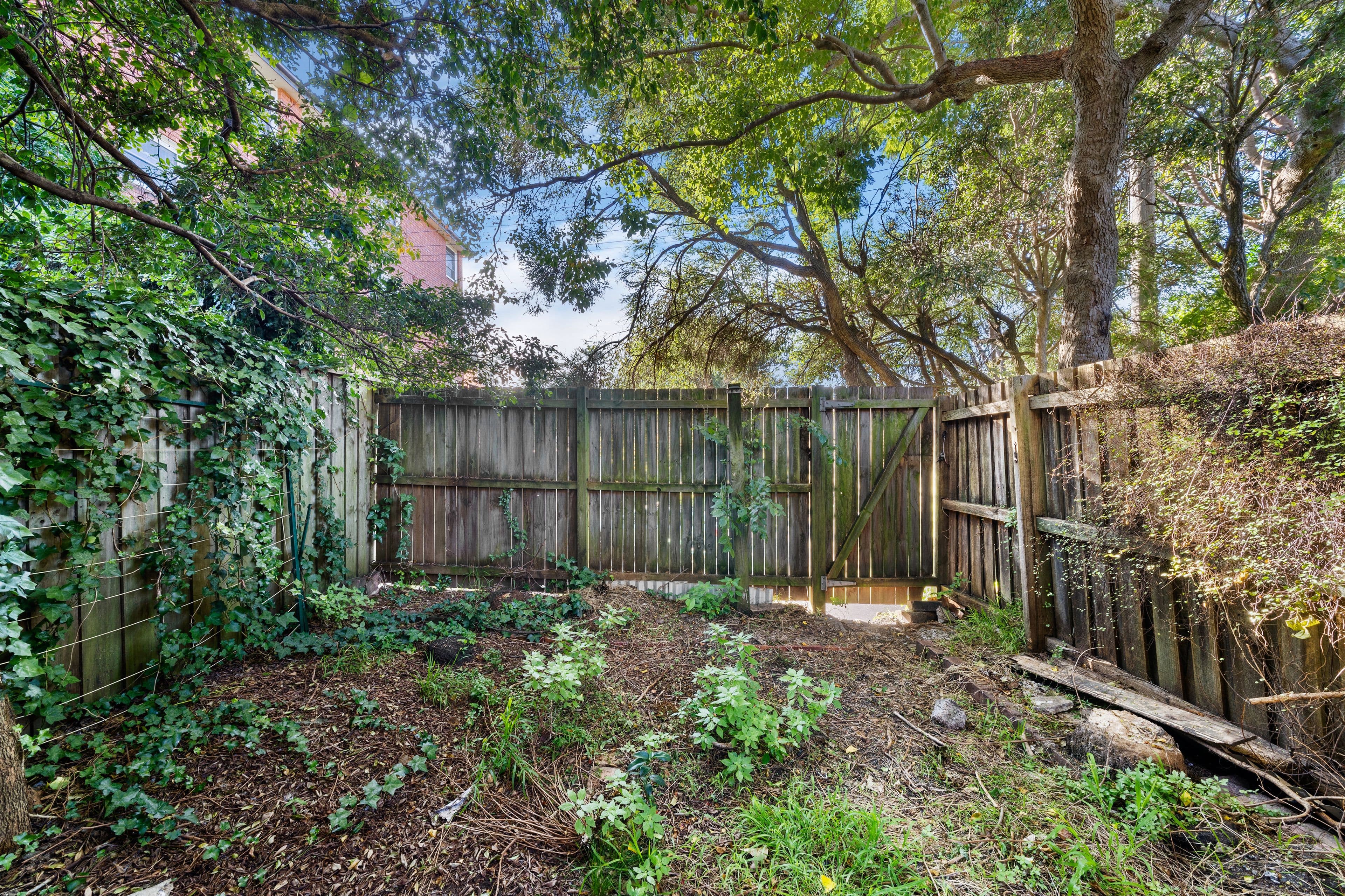40 Fitzroy Street, Newtown NSW 2042, Newtown - Thumbnail 6