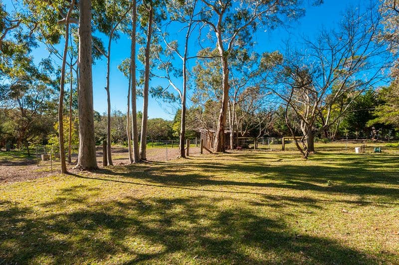 376 Birramal Road, DUFFYS FOREST NSW 2084, Duffys Forest - Thumbnail 5