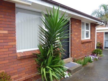 10 Beach Drive, WOONONA NSW 2517, Woonona - Thumbnail 5