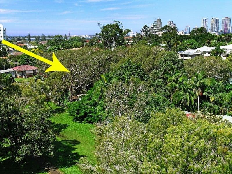 8 Echlin Street, LABRADOR QLD 4215, Labrador - Thumbnail 4