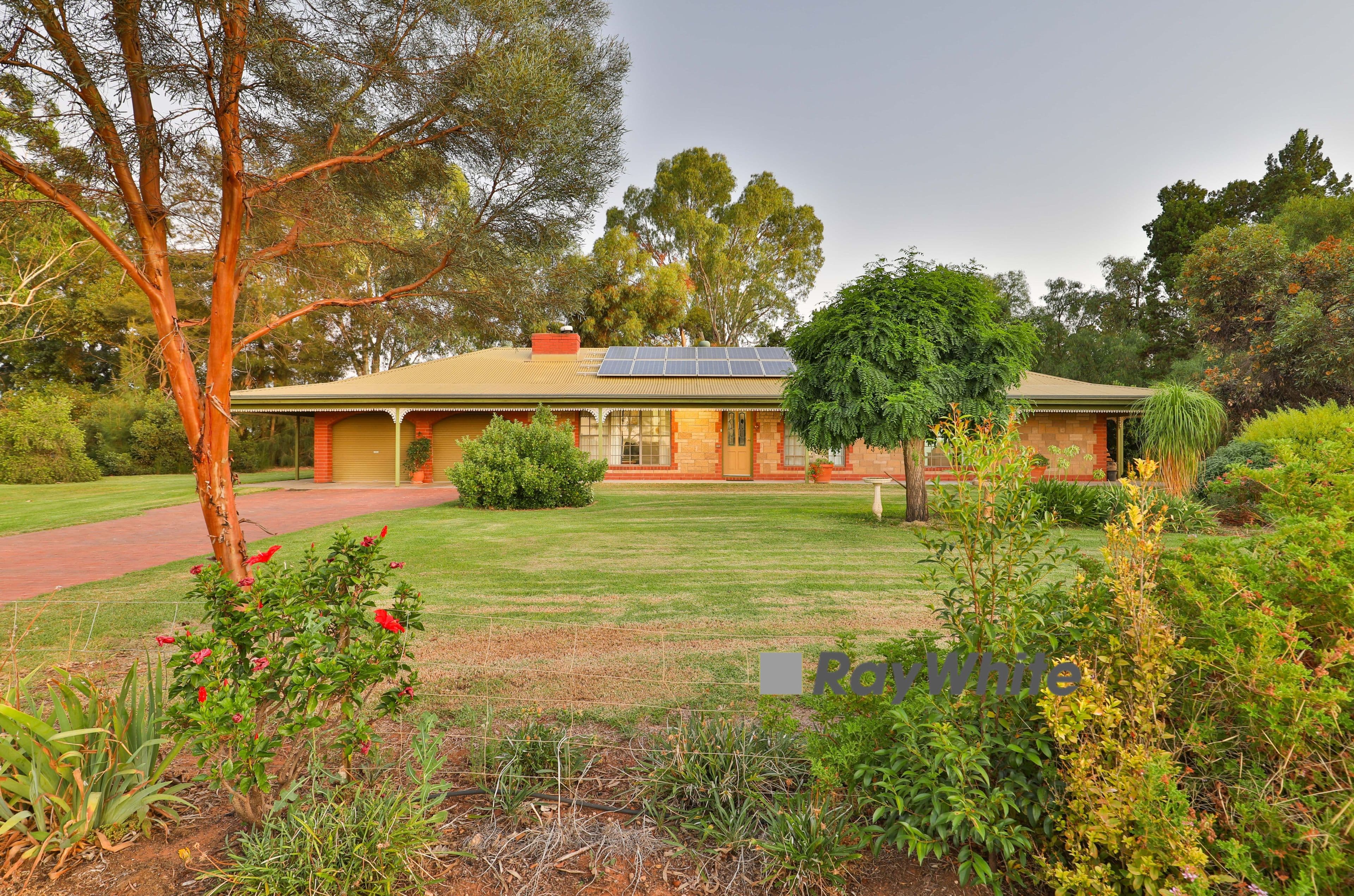 581 Morpung Avenue, Irymple VIC 3498, Irymple - Image 1