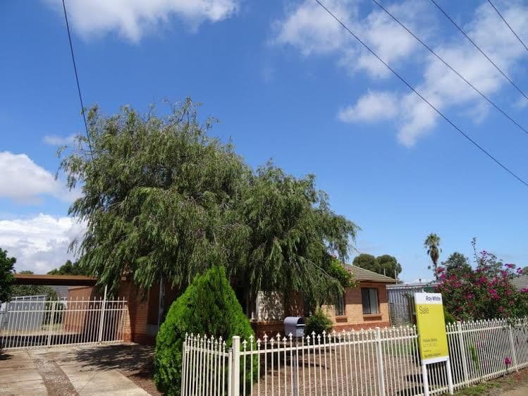12 Woodcutts Road, DAVOREN PARK SA 5113, Davoren Park - Thumbnail 2