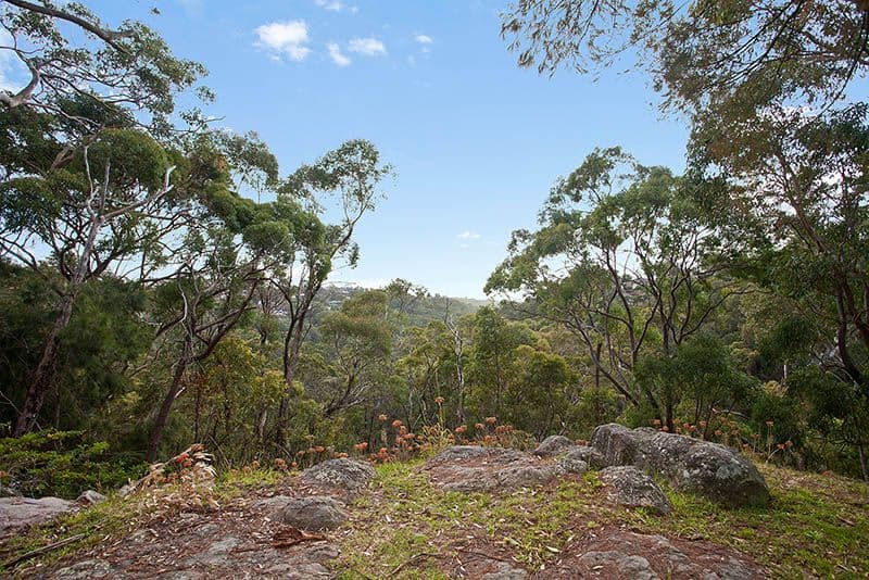 19 Lalor Crescent, ENGADINE NSW 2233, Engadine - Thumbnail 4