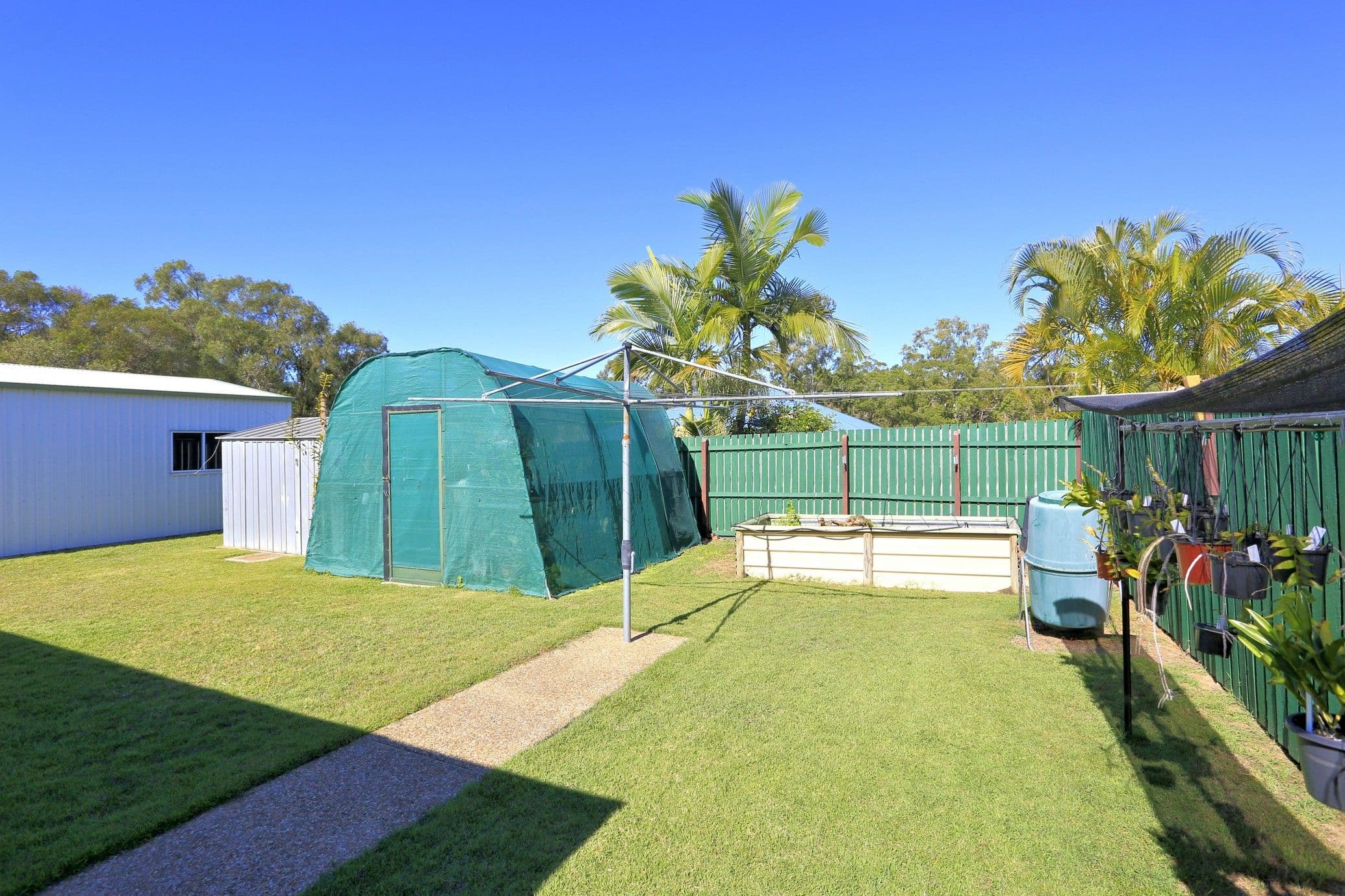 59 Tropicana Drive, Avoca QLD 4670, Avoca - Thumbnail 8