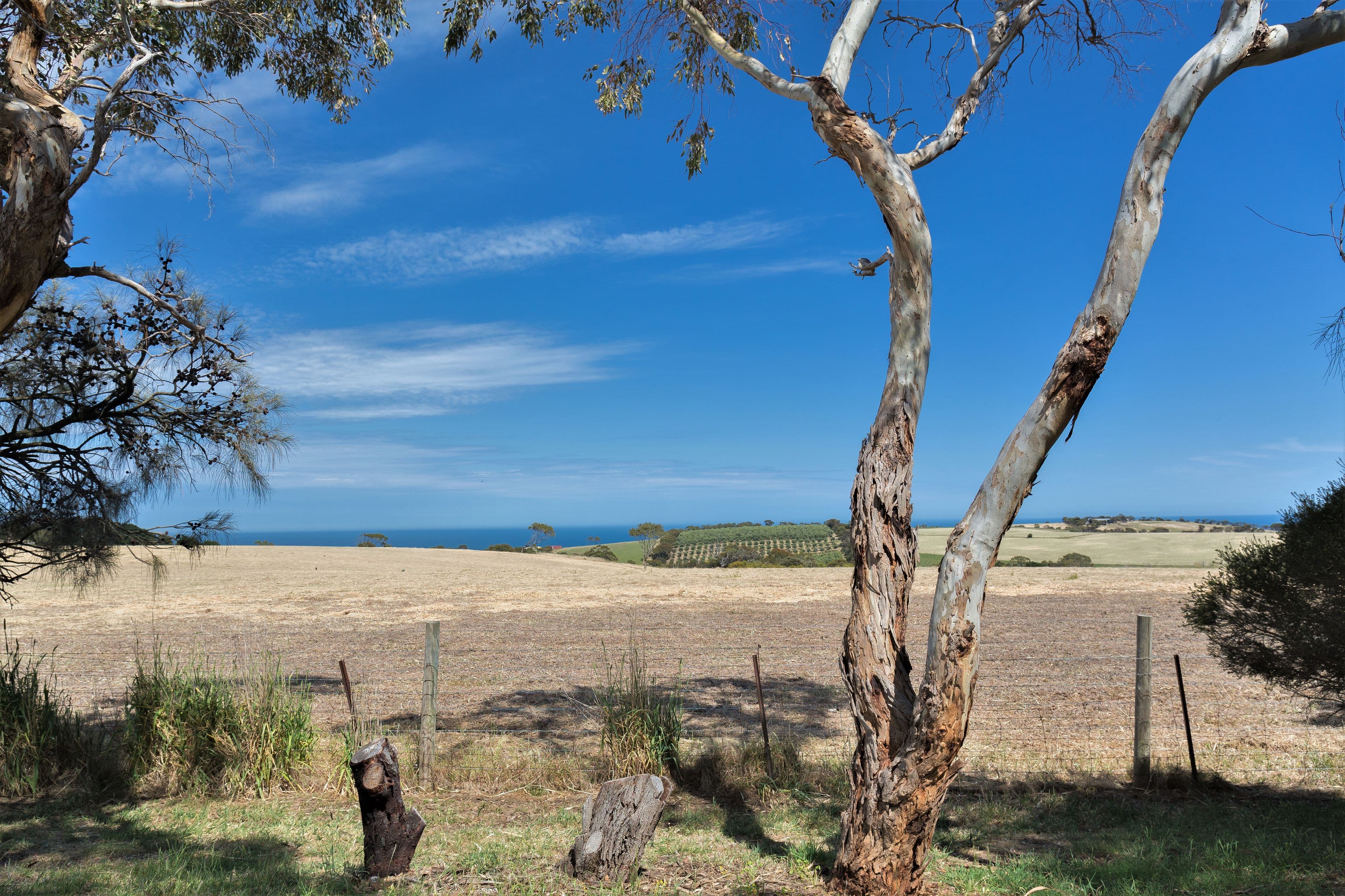 687 Forktree Road, Carrickalinga SA 5204, Carrickalinga - Thumbnail 6