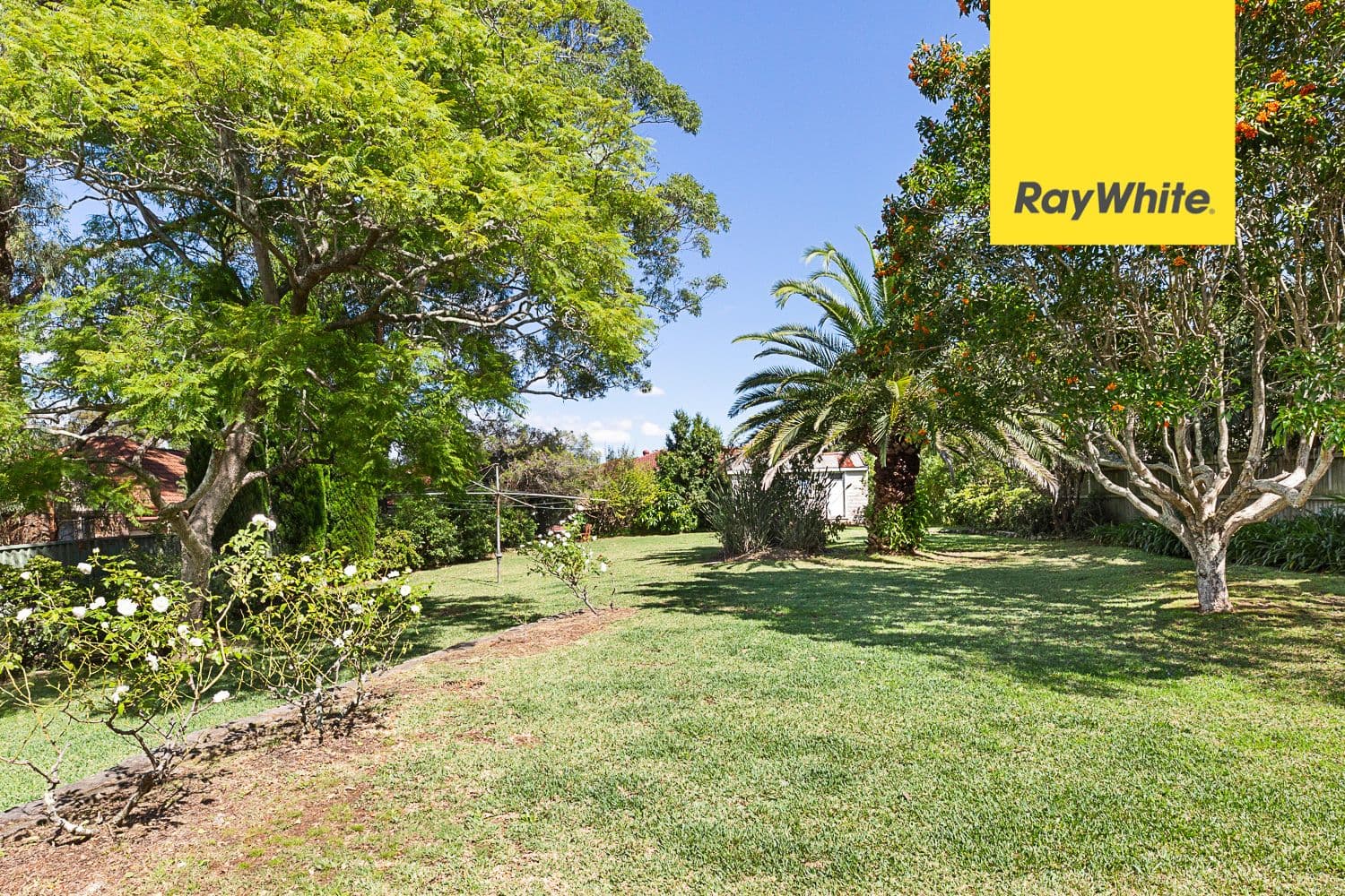 67 Kent Street, Epping NSW 2121, Epping - Thumbnail 4