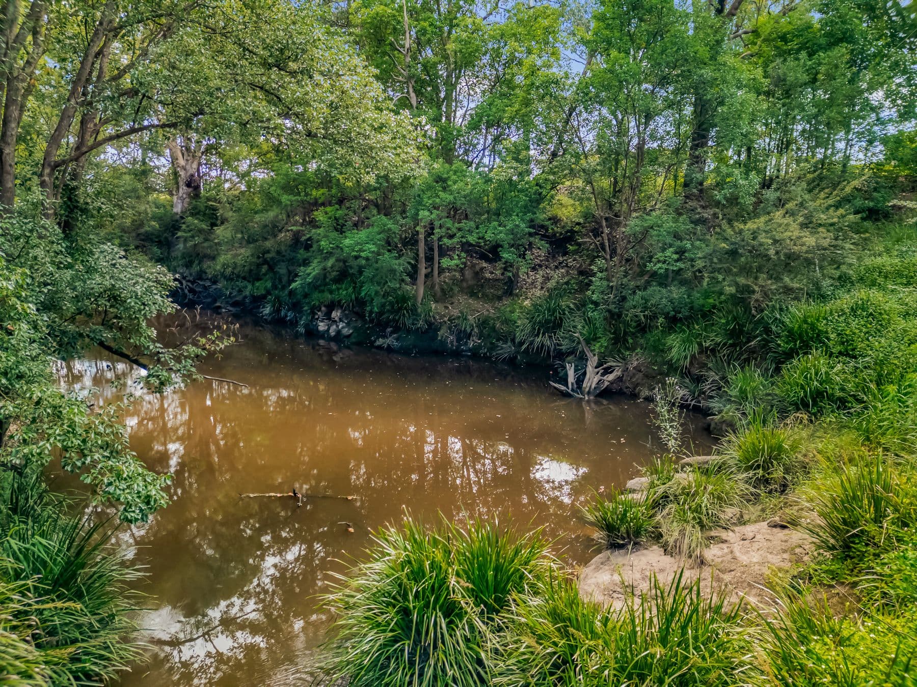 20 Mahogany Drive, Gloucester NSW 2422, Gloucester - Thumbnail 6