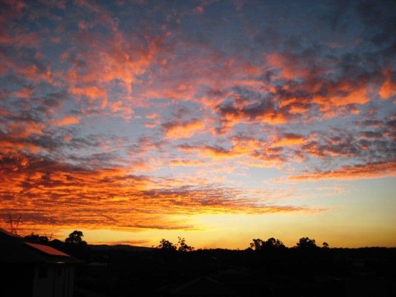 8 Homeland Crescent, Warner QLD 4500, Warner - Thumbnail 6